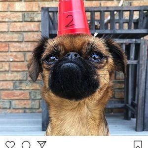 Meet your Posher, Kristen